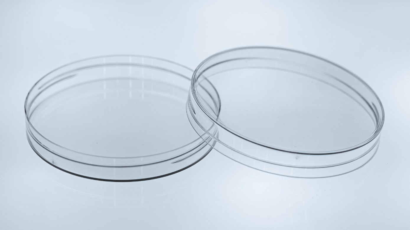 一出16水晶盖（100口径）